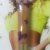 Accessorize Ilusion Diamond Lipgloss-June Product Review