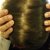 Plantur 39 Colour Brown Shampoo &amp; Conditioner
