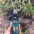 Oil mist