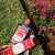 COLGATE OPTIC WHITE MOUTHWASH (500ML)