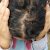Plantur 39 Colour Brown Shampoo &amp; Conditioner