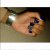 Elegant Touch Accent Studded Nails