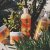 Clicks Afri True Naturals Hydrating &amp; Softening Shampoo