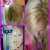 Before and After
