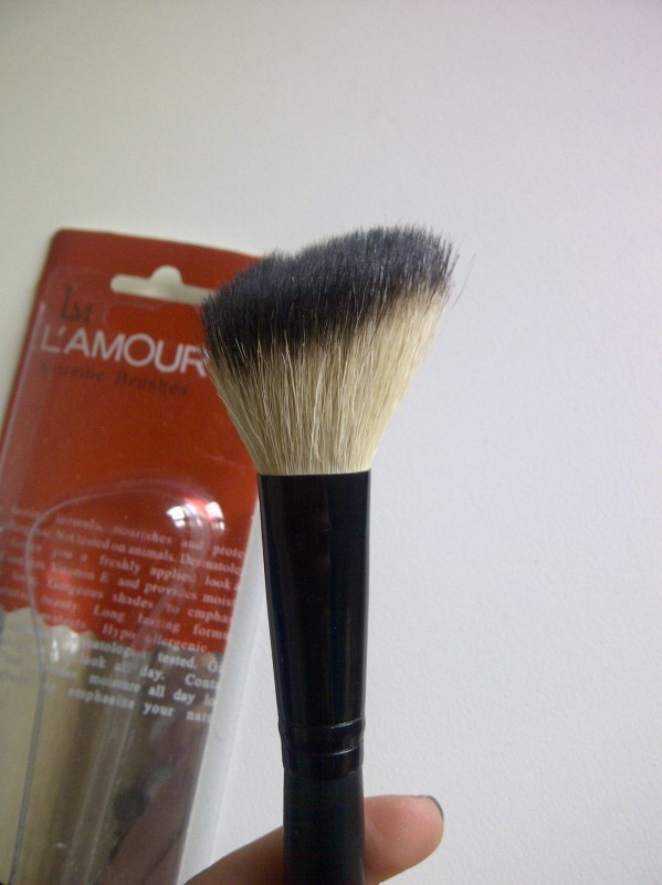 X-treme Brushes Qingni 804