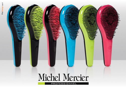 Read more about the article Michel Mercier Detangling Brush