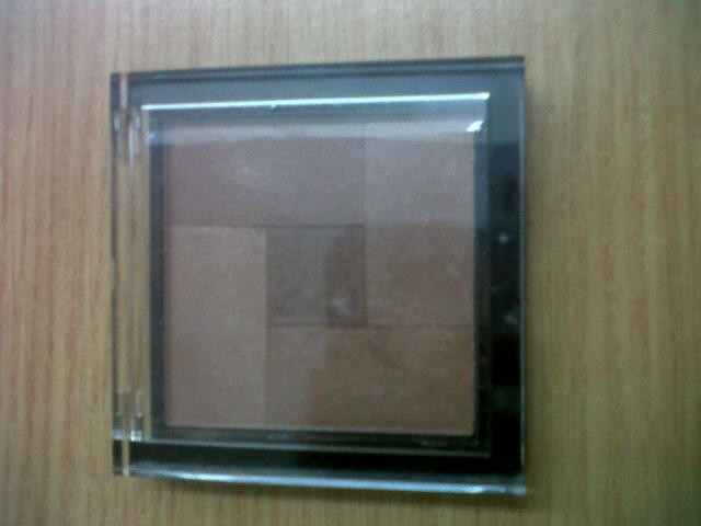 Read more about the article Palladio Herbal Mosaic Powder in  Luminous Bronze